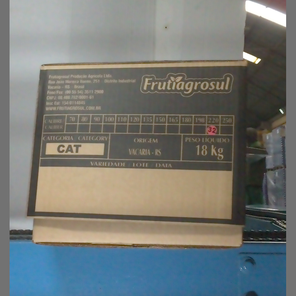 Candidata do calibre · central · 960 utilizado na inferência