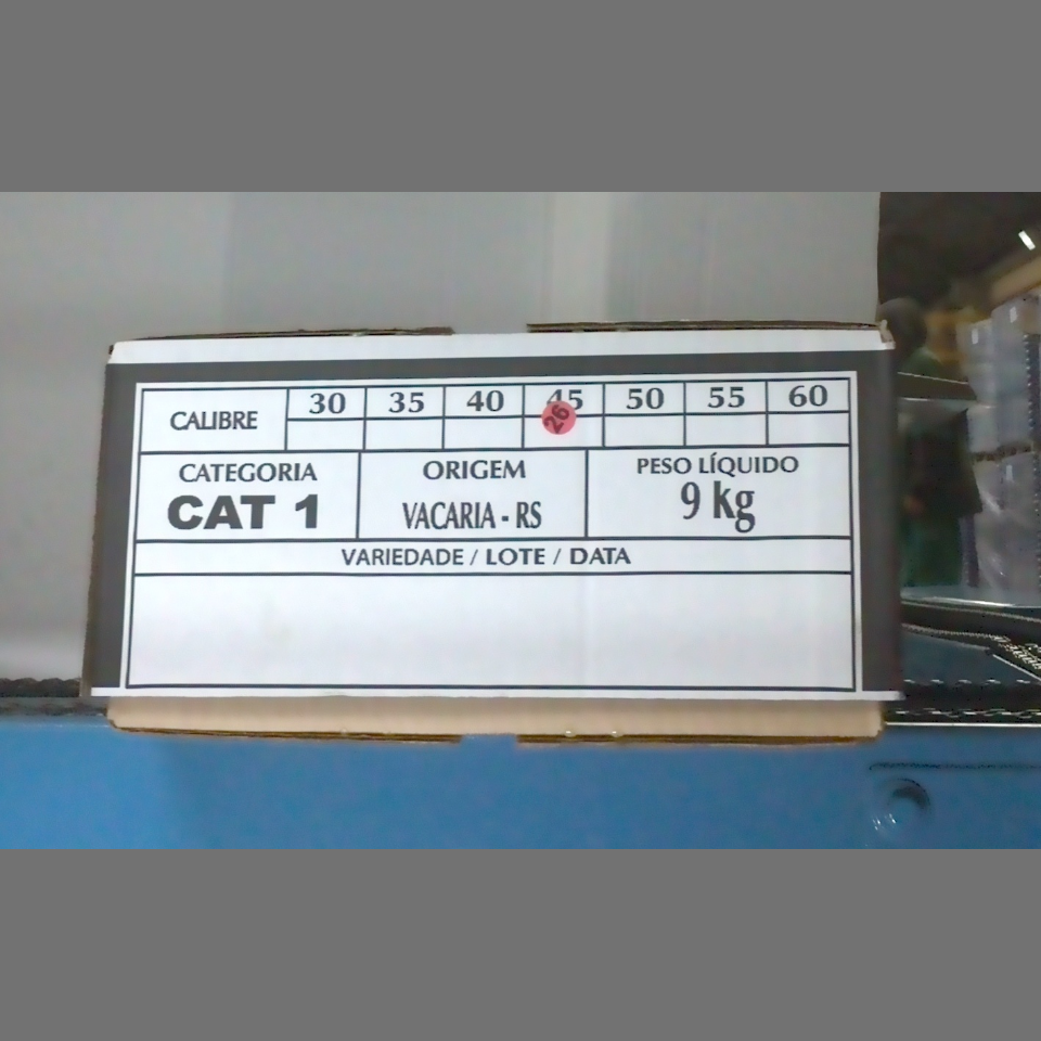Candidata do calibre · central · 960 utilizado na inferência