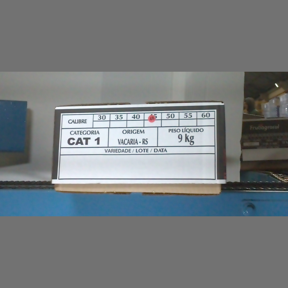 Candidata do calibre · central · 960 utilizado na inferência