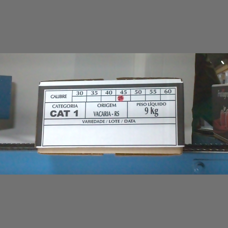 Candidata do calibre · central · 960 utilizado na inferência