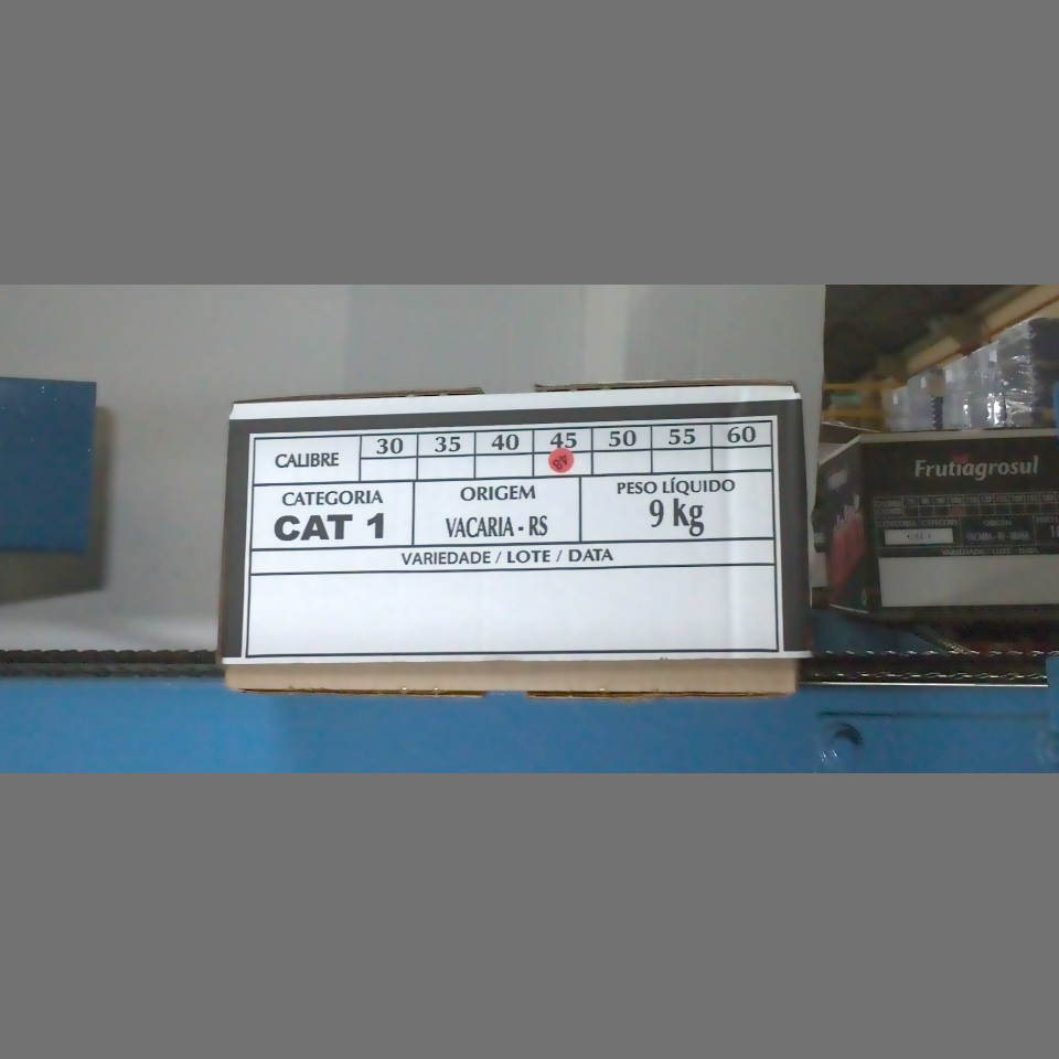 Candidata do calibre · central · 960 utilizado na inferência