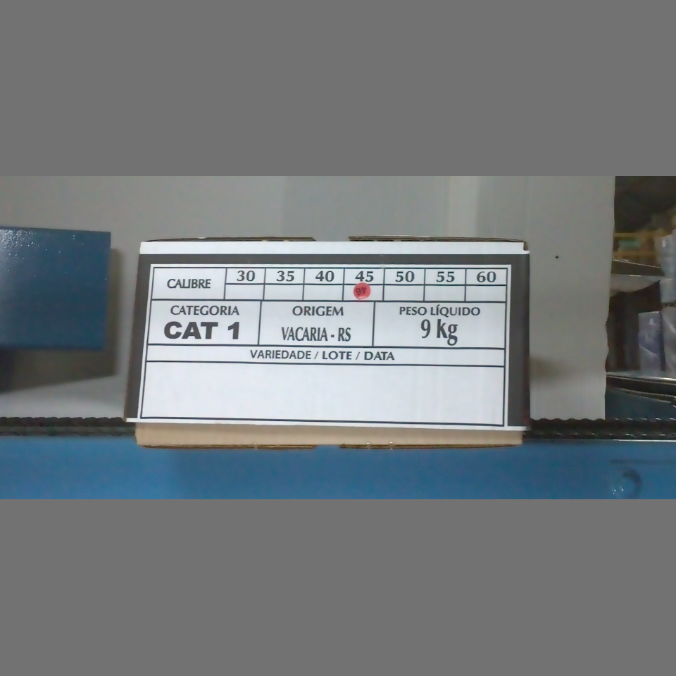 Candidata do calibre · central · 960 utilizado na inferência