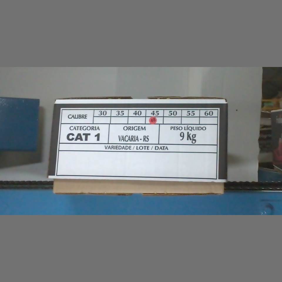 Candidata do calibre · central · 960 utilizado na inferência