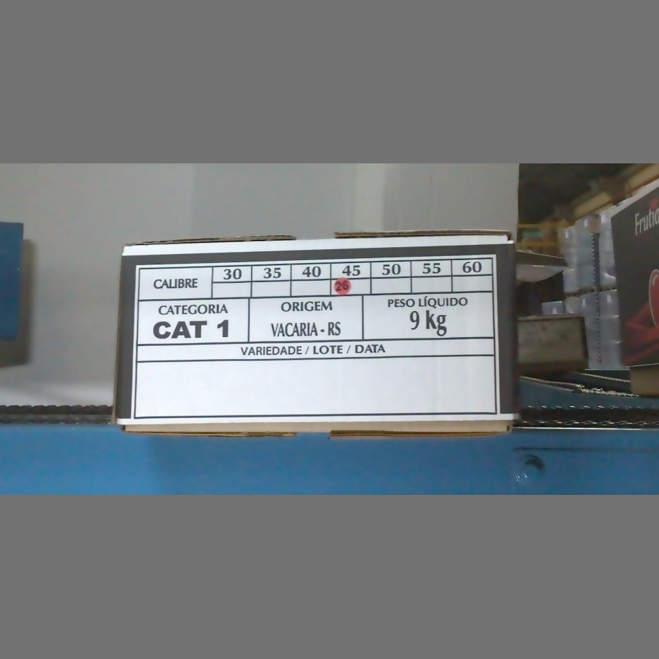 Candidata do calibre · central · 960 utilizado na inferência
