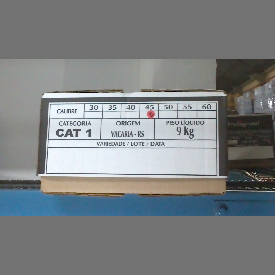 Candidata do calibre · central · 960 utilizado na inferência