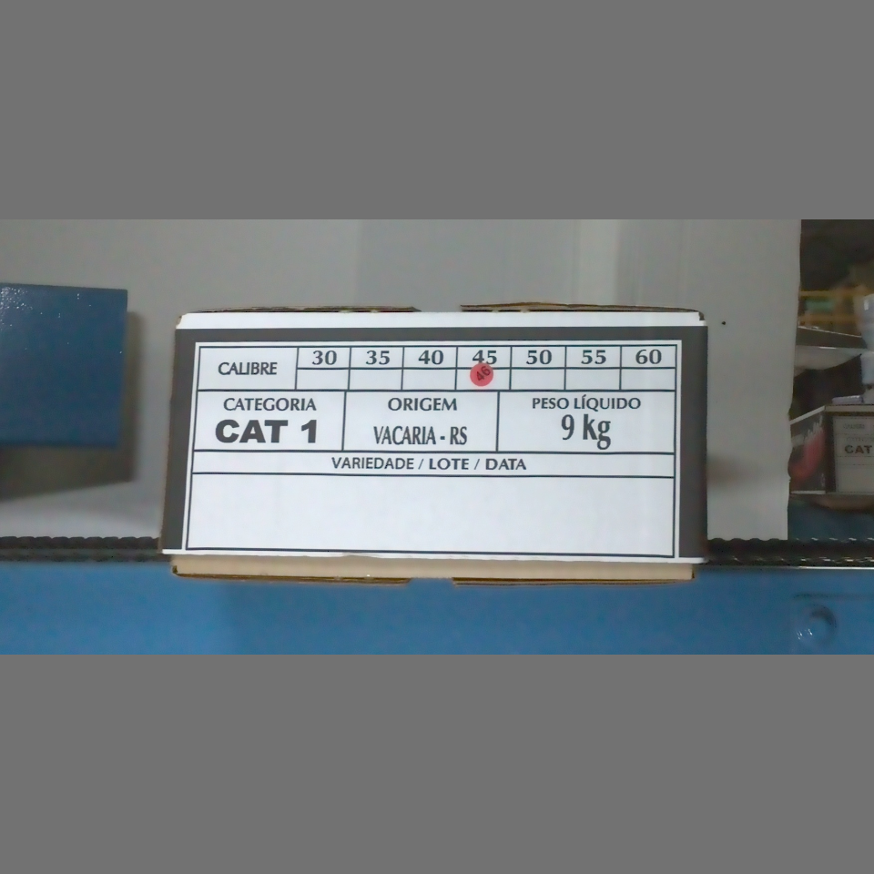 Candidata do calibre · central · 960 utilizado na inferência