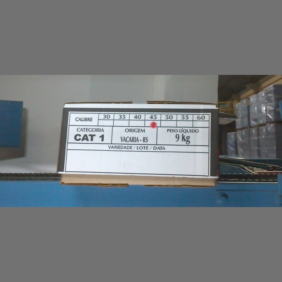 Candidata do calibre · central · 960 utilizado na inferência