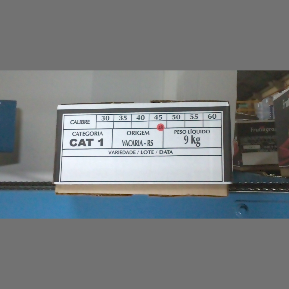 Candidata do calibre · central · 960 utilizado na inferência