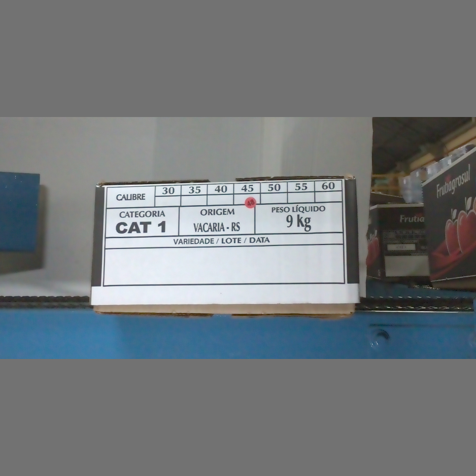 Candidata do calibre · central · 960 utilizado na inferência