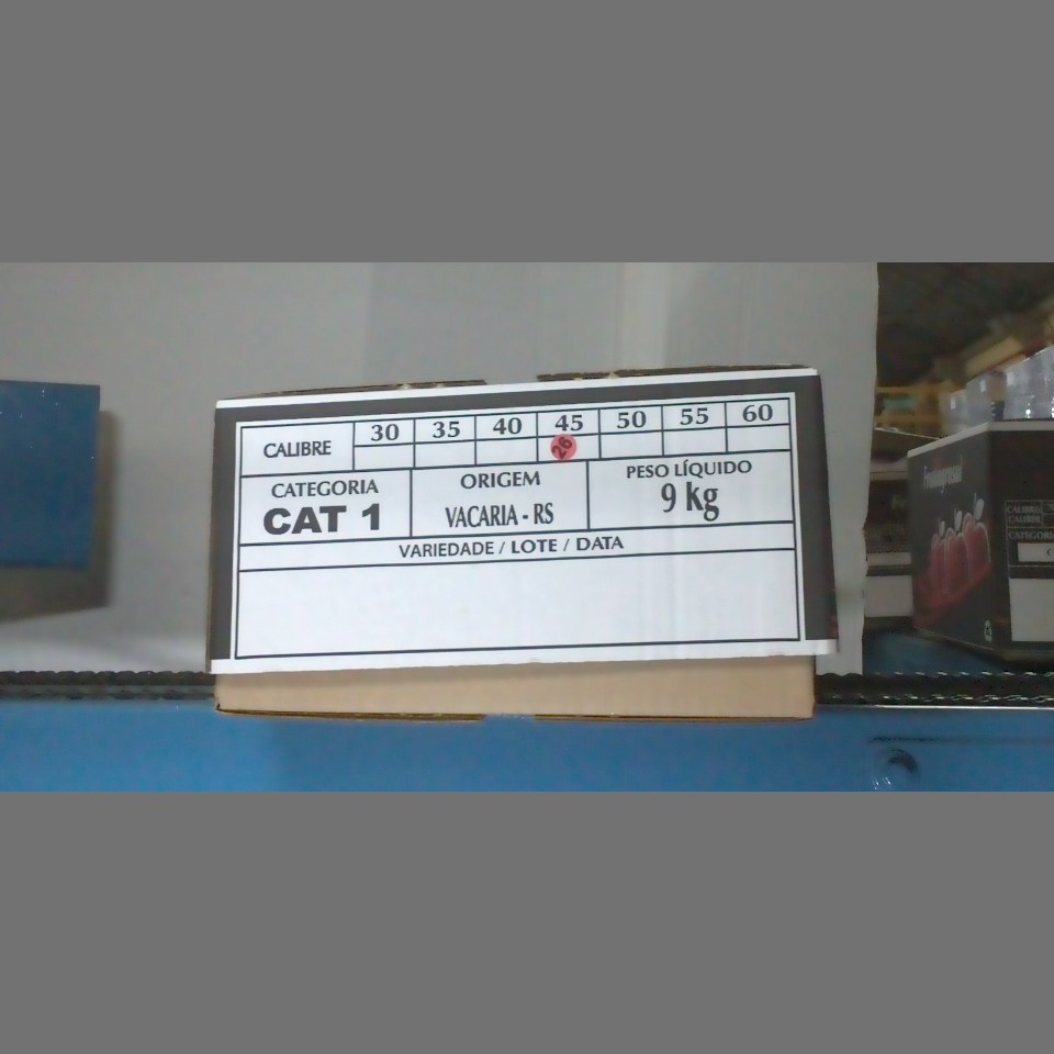 Candidata do calibre · central · 960 utilizado na inferência