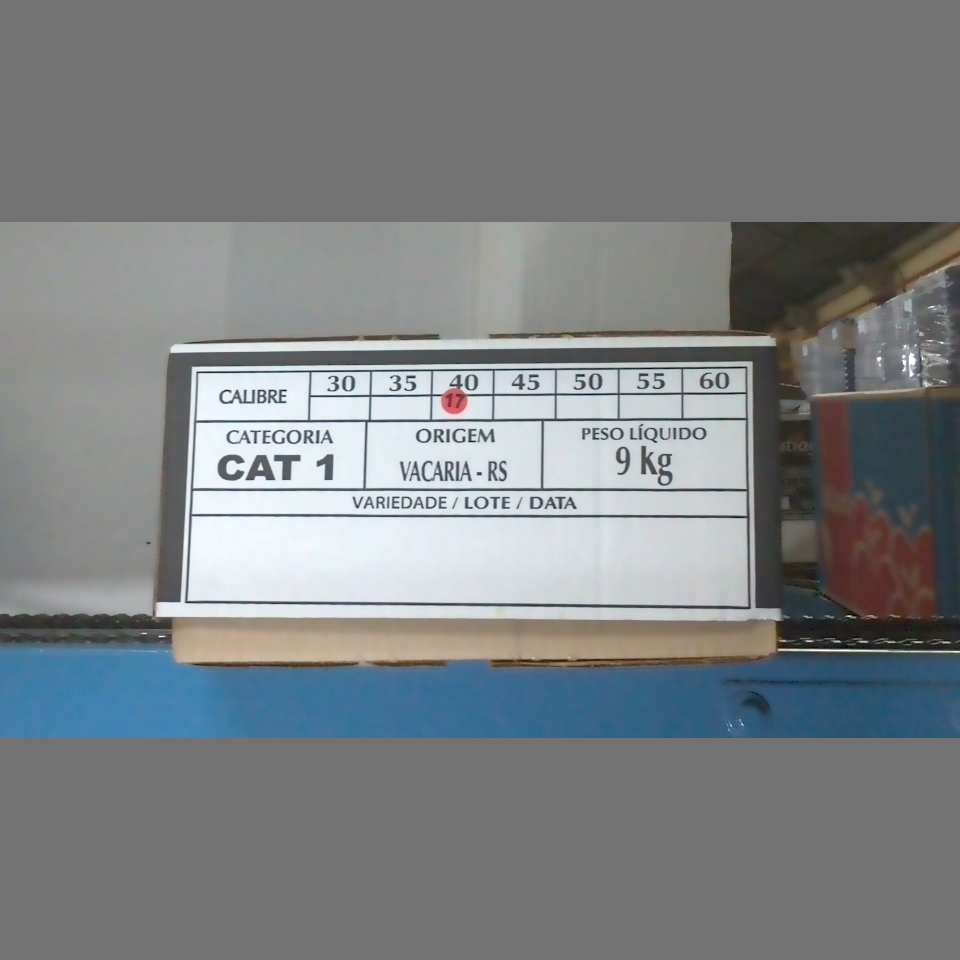 Candidata do calibre · central · 960 utilizado na inferência