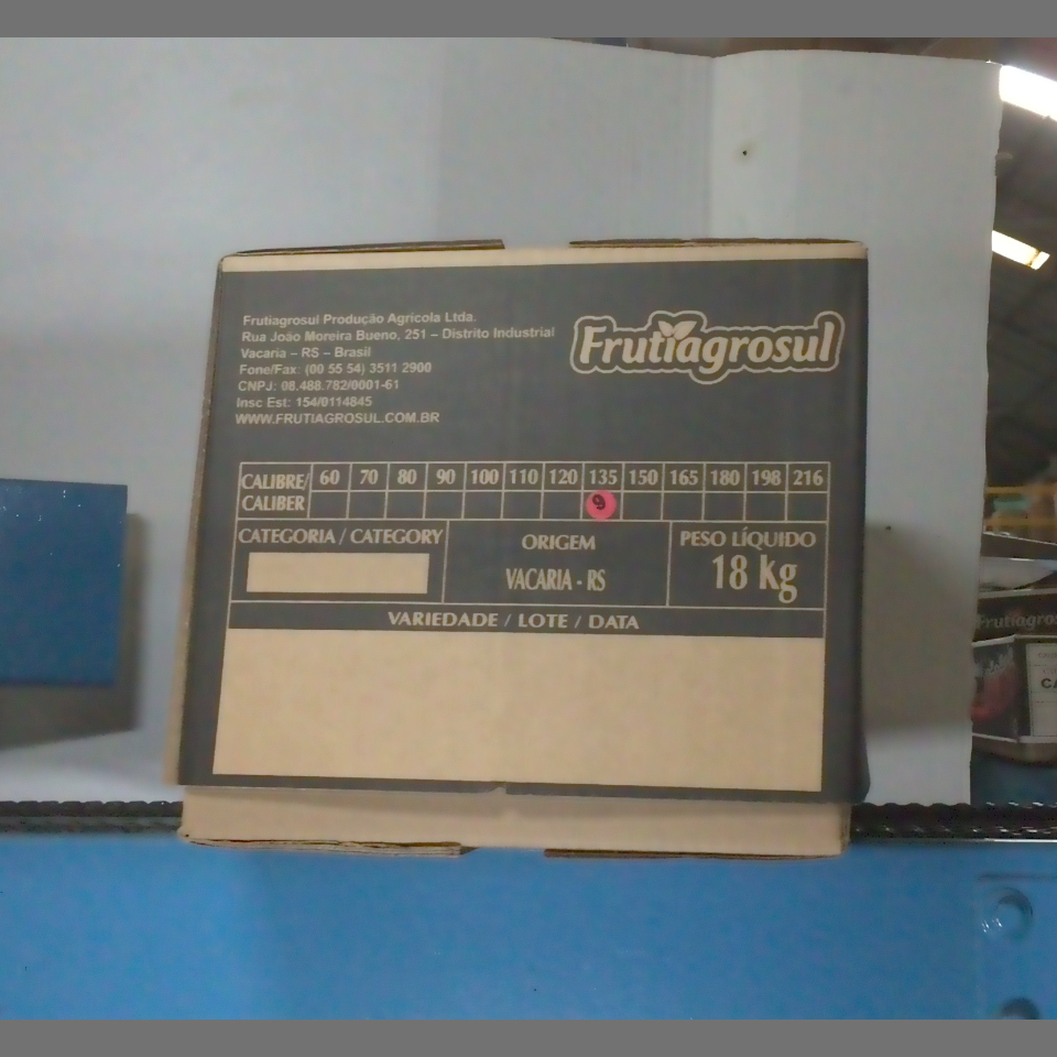 Candidata do calibre · central · 960 utilizado na inferência