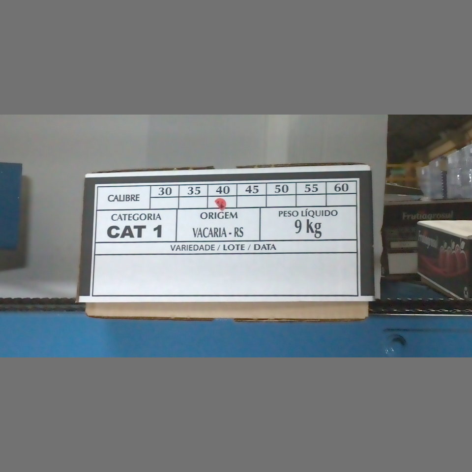 Candidata do calibre · central · 960 utilizado na inferência