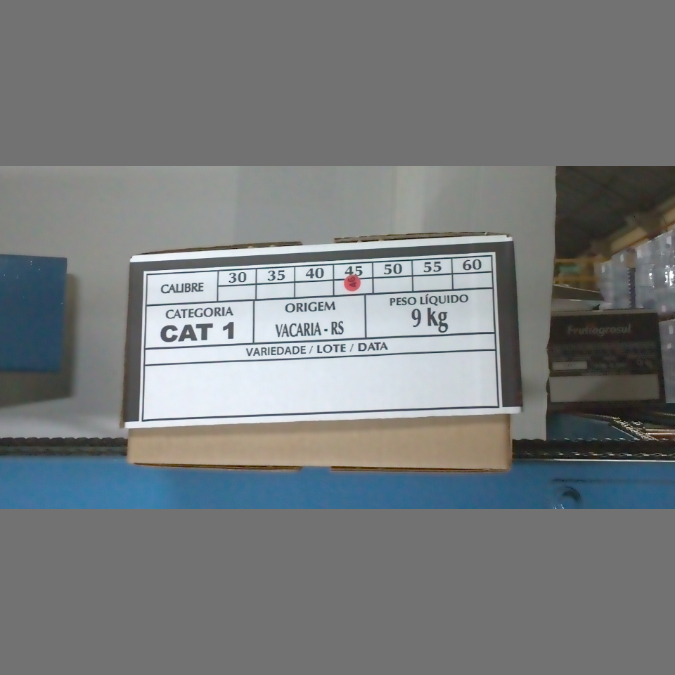 Candidata do calibre · central · 960 utilizado na inferência