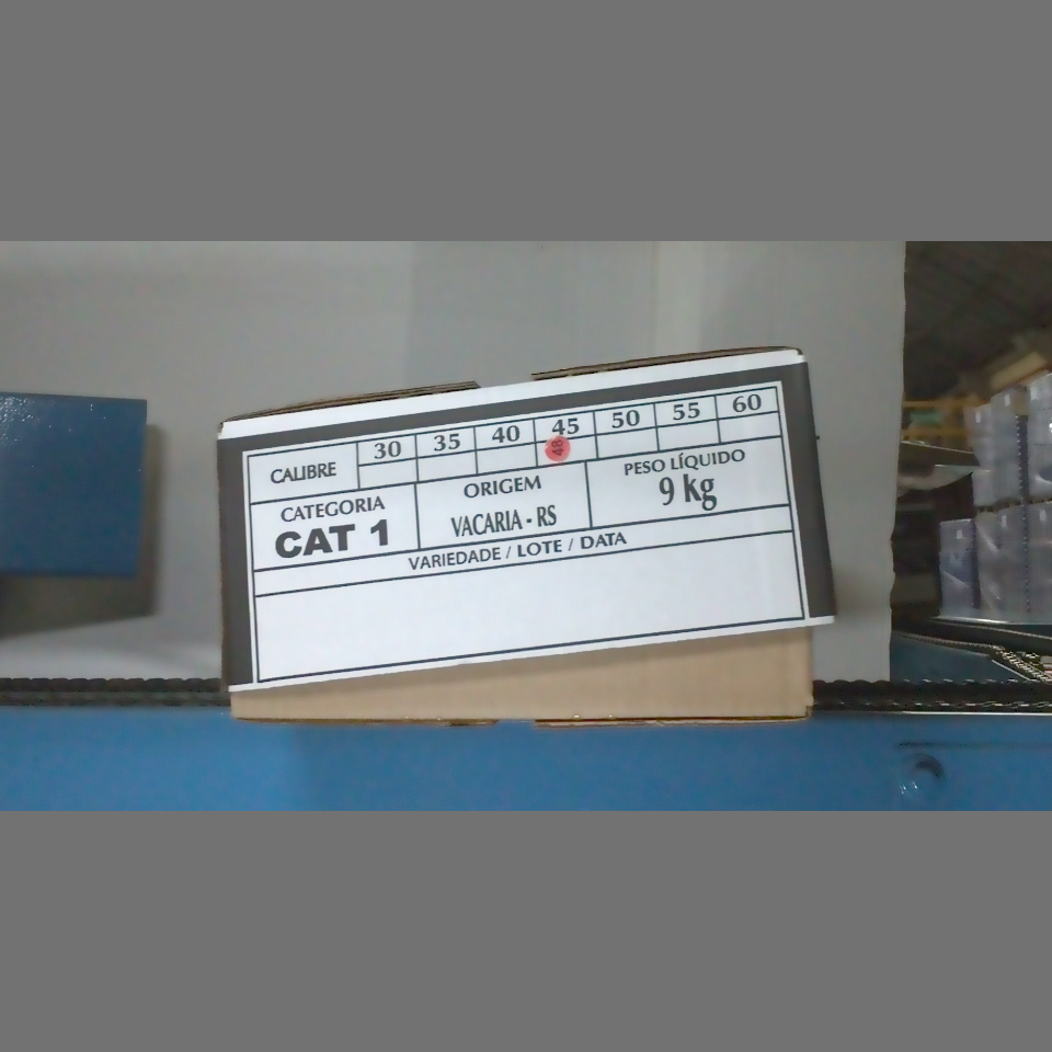 Candidata do calibre · central · 960 utilizado na inferência