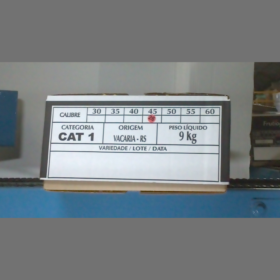 Candidata do calibre · central · 960 utilizado na inferência