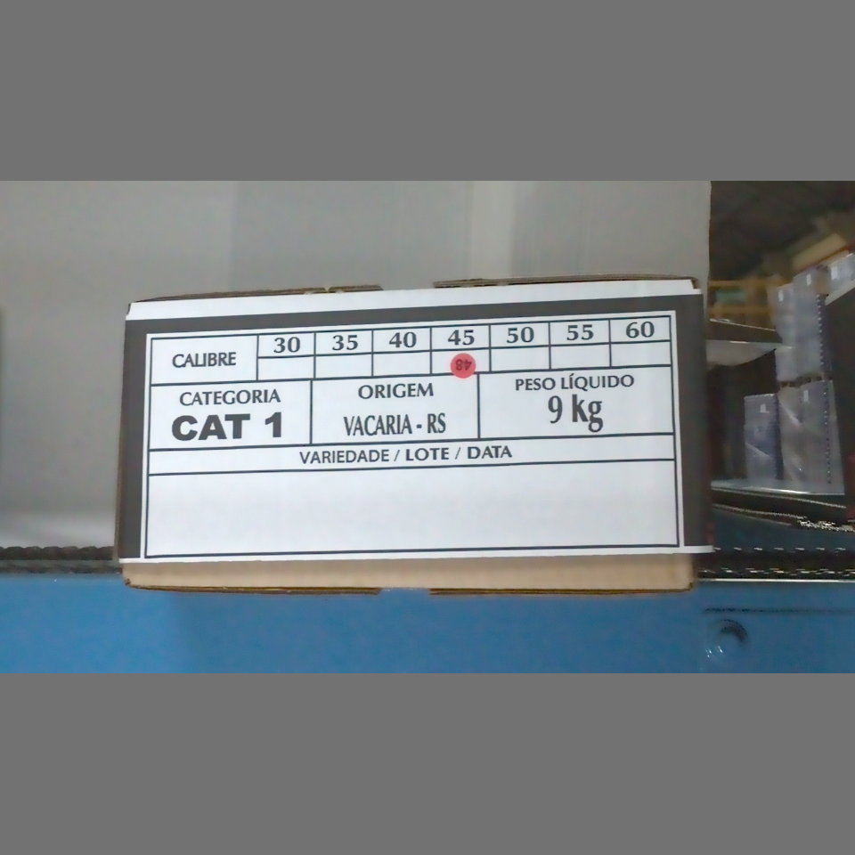 Candidata do calibre · central · 960 utilizado na inferência
