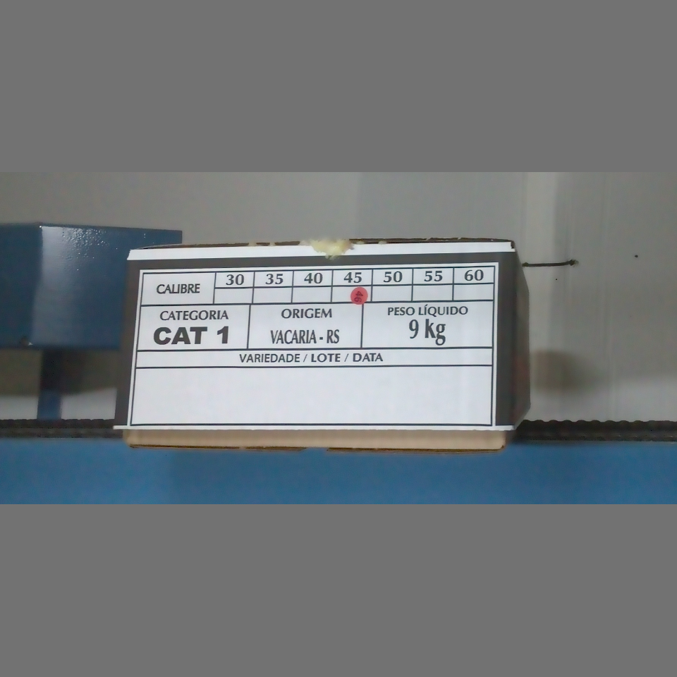Candidata do calibre · central · 960 utilizado na inferência