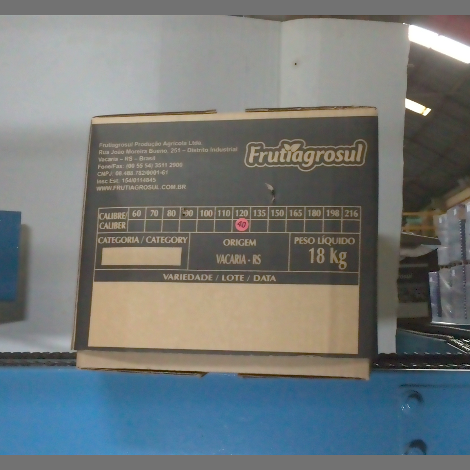 Candidata do calibre · central · 960 utilizado na inferência