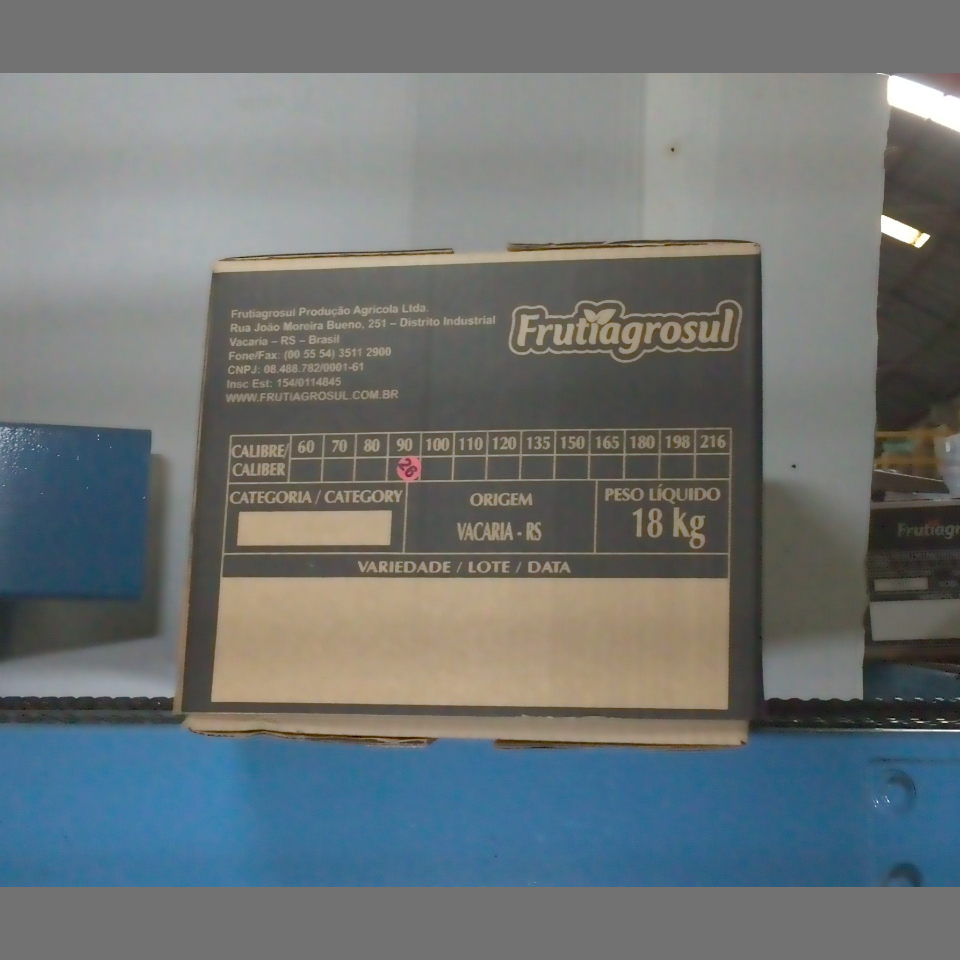 Candidata do calibre · central · 960 utilizado na inferência