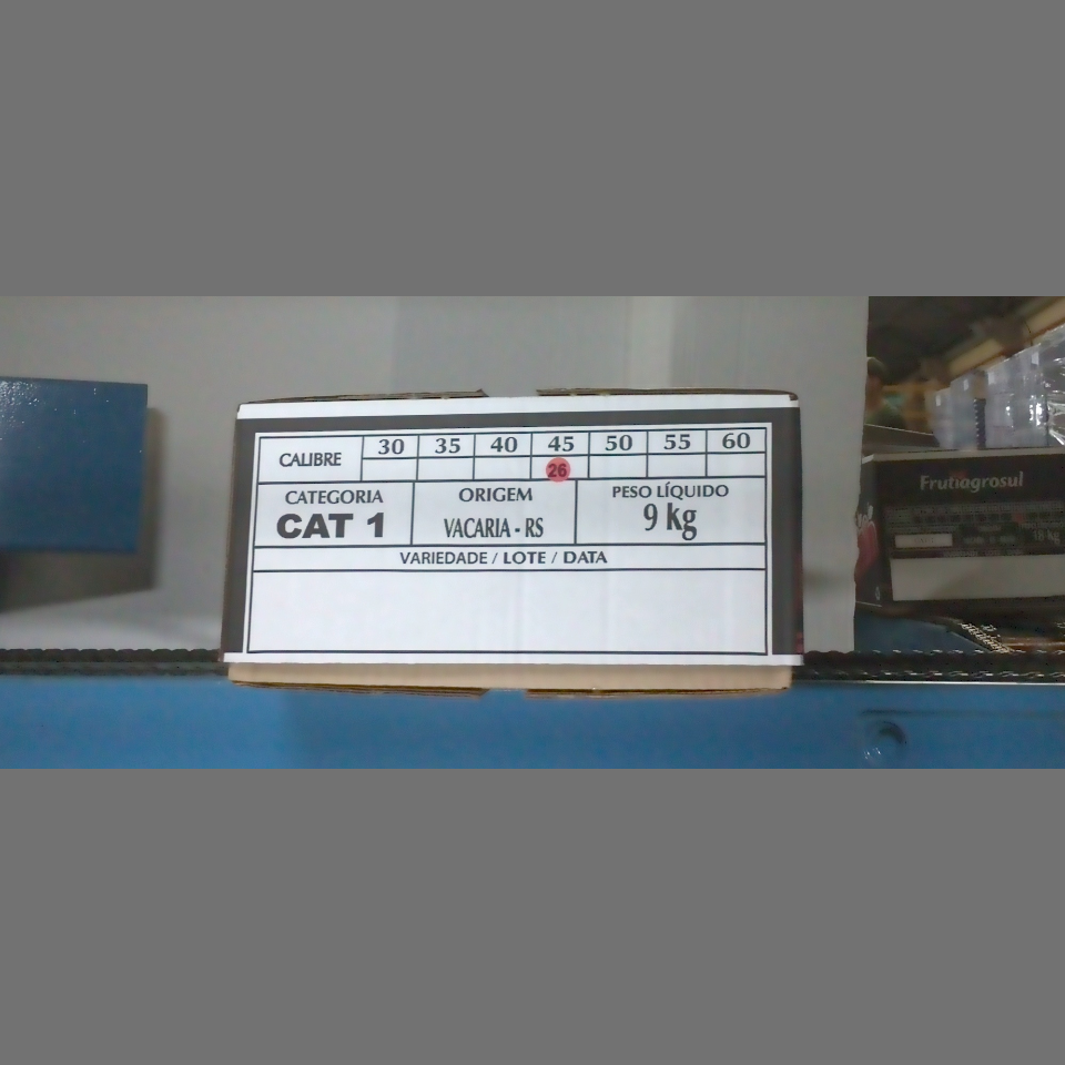 Candidata do calibre · central · 960 utilizado na inferência