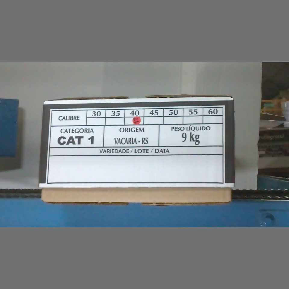 Candidata do calibre · central · 960 utilizado na inferência