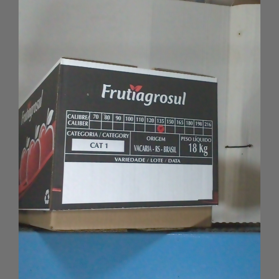 Candidata do calibre · central · 960 utilizado na inferência