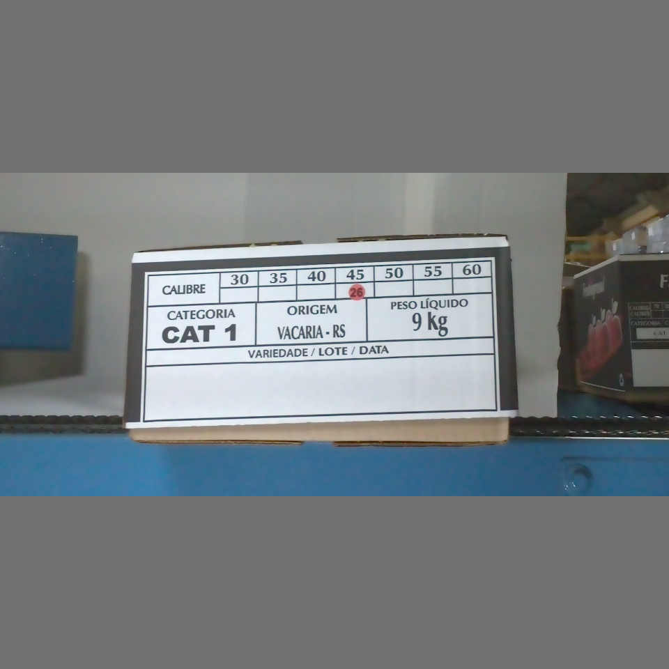 Candidata do calibre · central · 960 utilizado na inferência