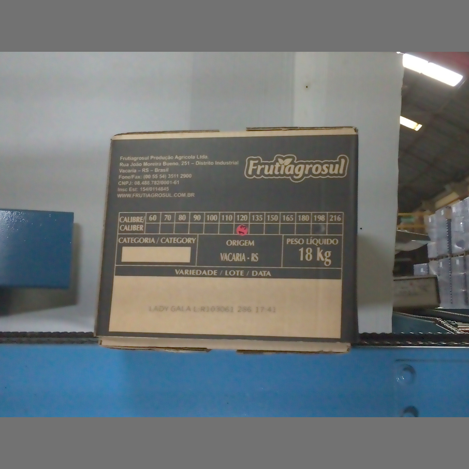 Candidata do calibre · central · 960 utilizado na inferência