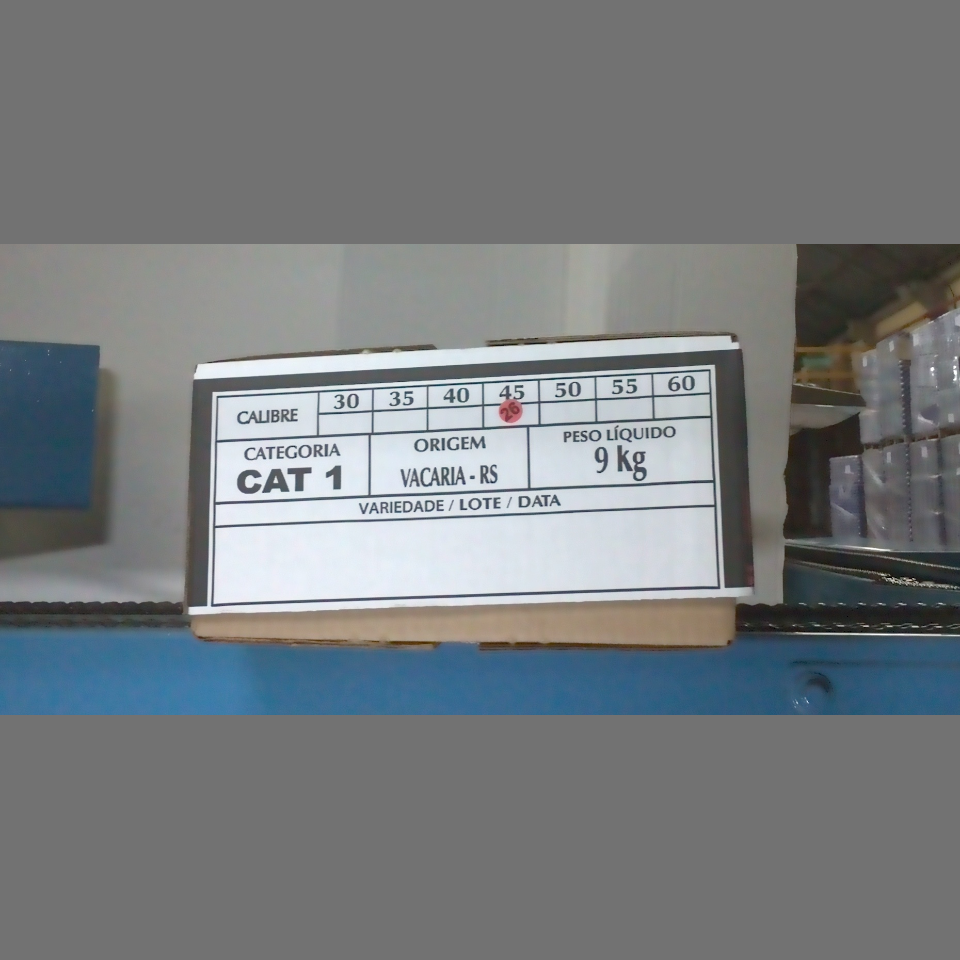 Candidata do calibre · central · 960 utilizado na inferência