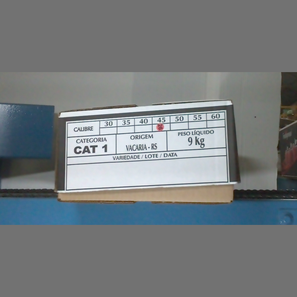 Candidata do calibre · central · 960 utilizado na inferência