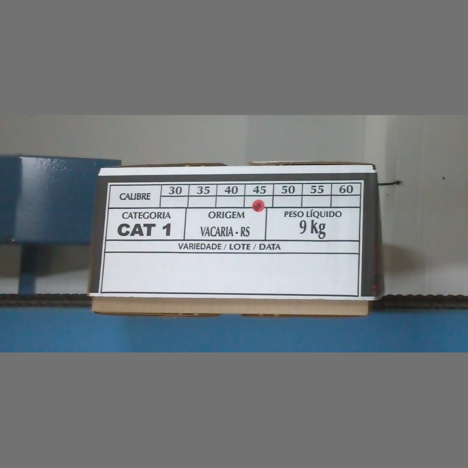 Candidata do calibre · central · 960 utilizado na inferência