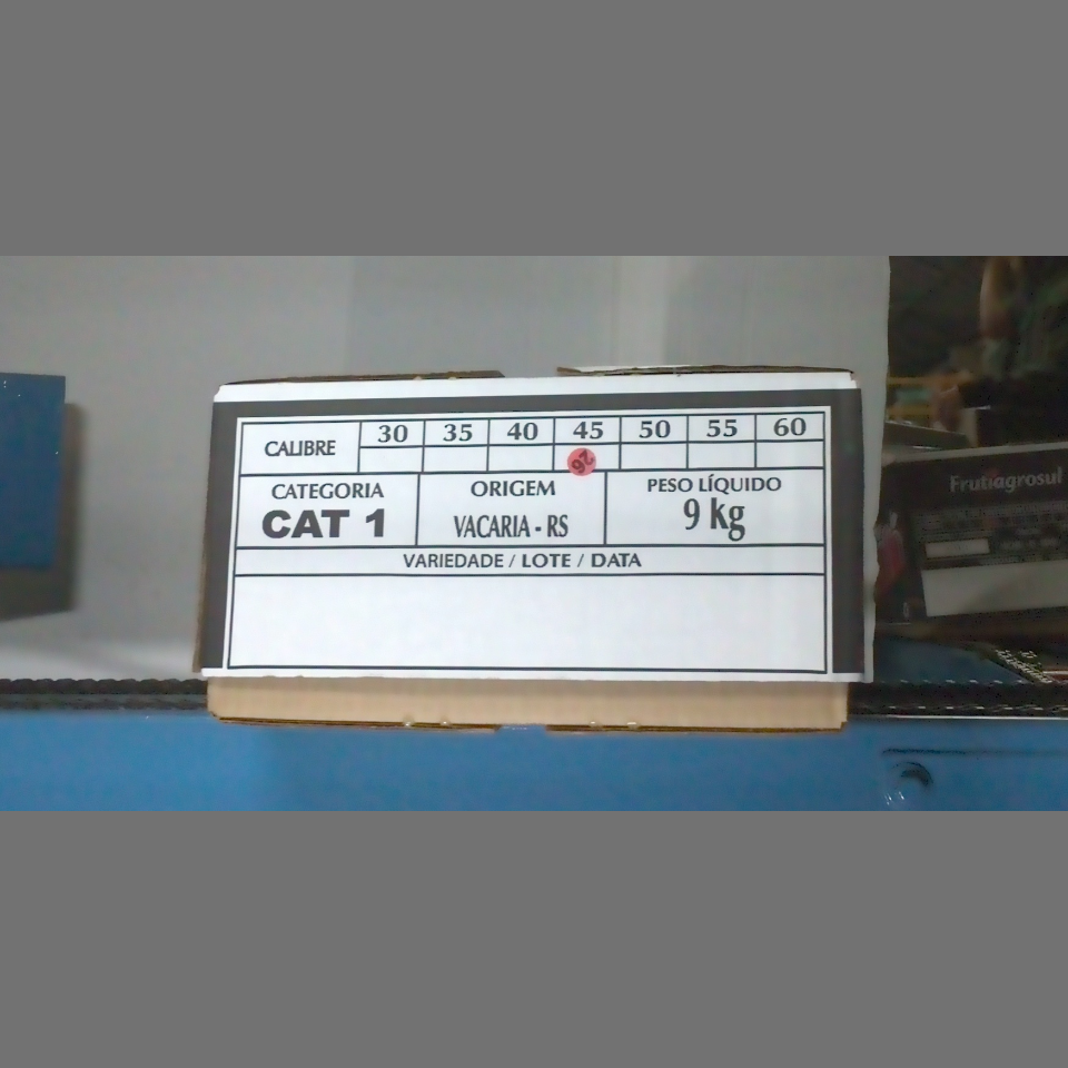 Candidata do calibre · central · 960 utilizado na inferência