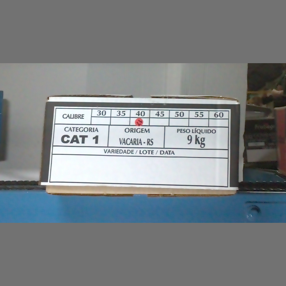 Candidata do calibre · central · 960 utilizado na inferência