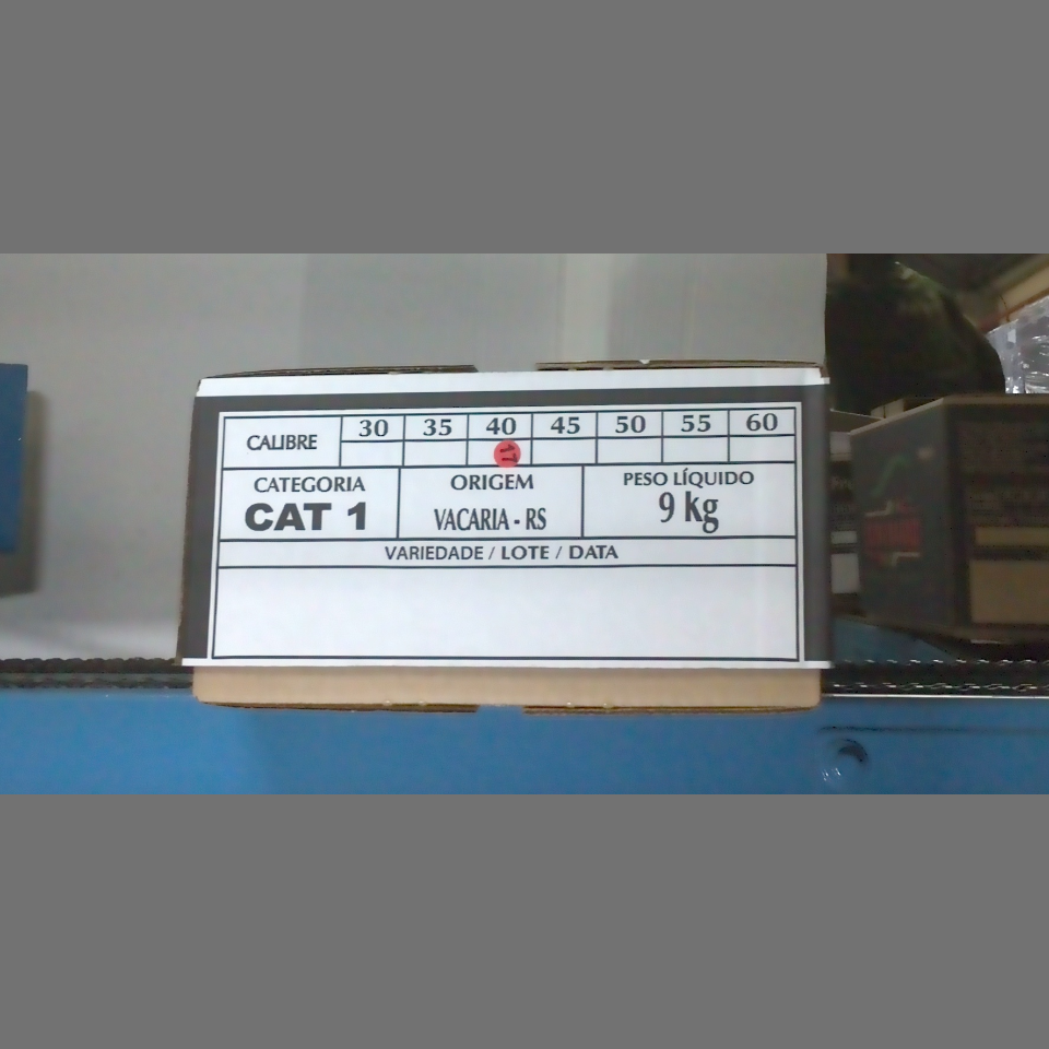 Candidata do calibre · central · 960 utilizado na inferência