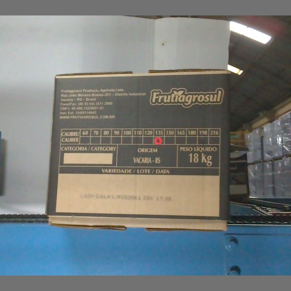 Candidata do calibre · central · 960 utilizado na inferência