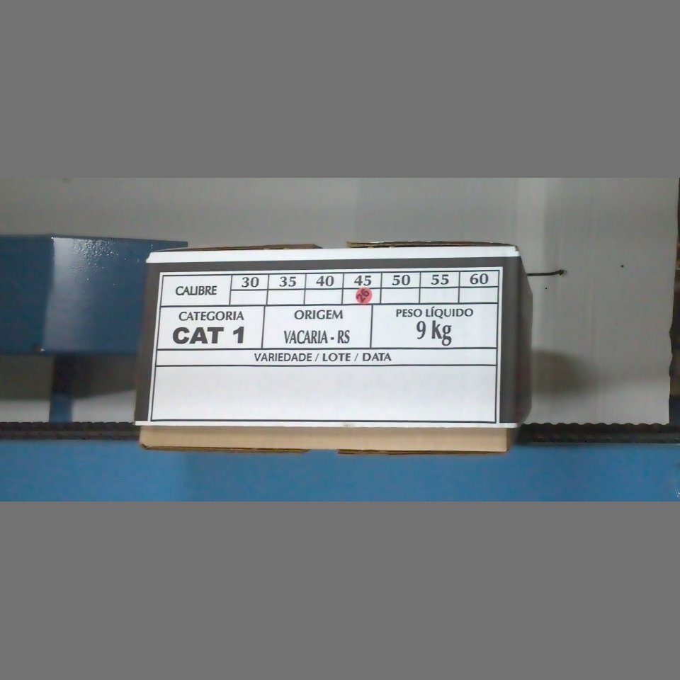 Candidata do calibre · central · 960 utilizado na inferência