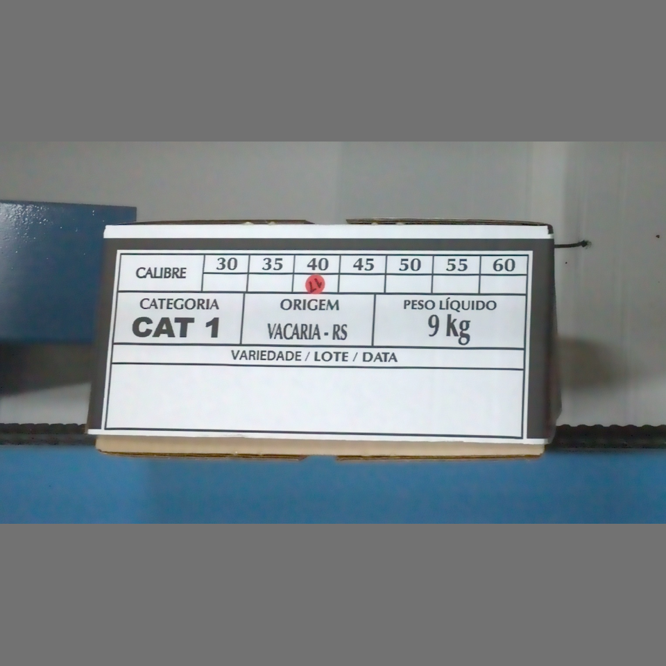 Candidata do calibre · central · 960 utilizado na inferência