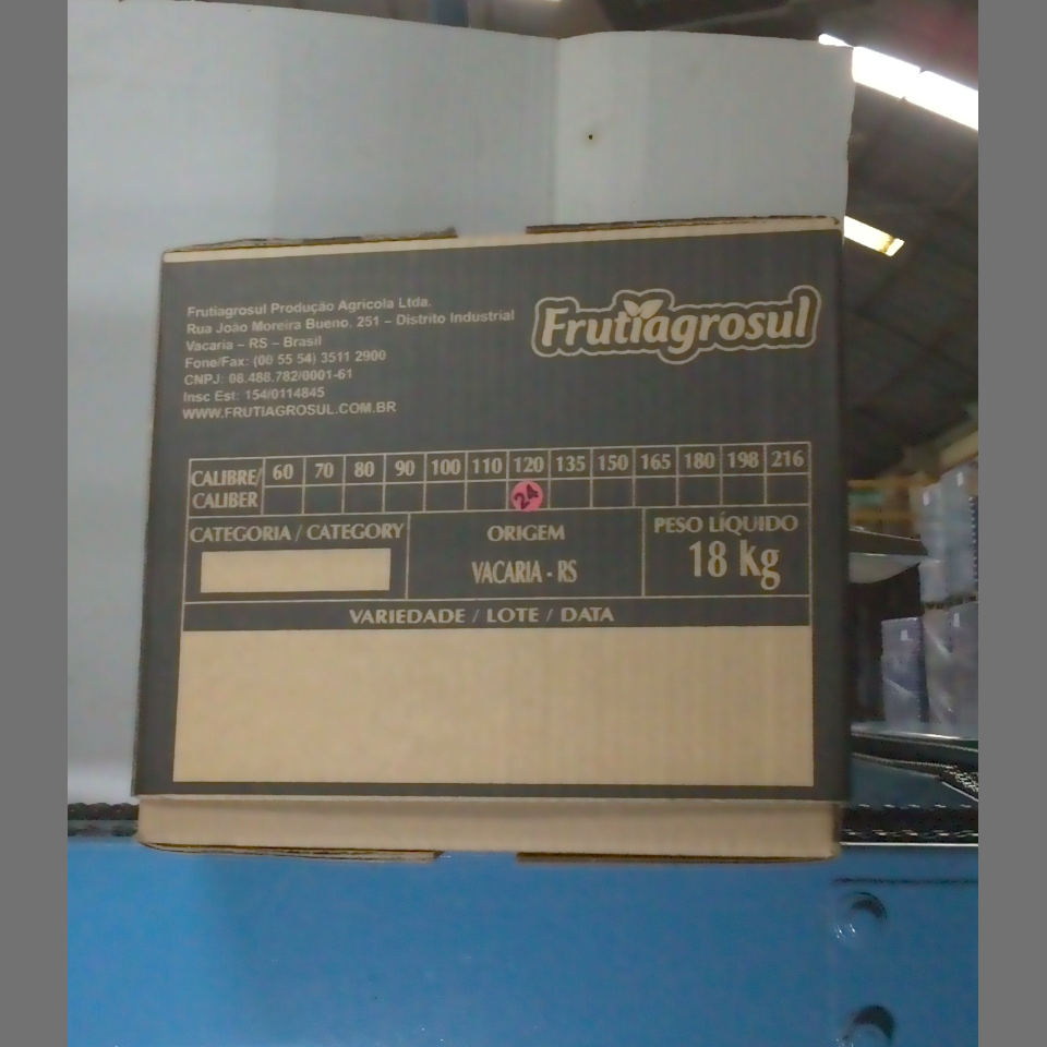 Candidata do calibre · central · 960 utilizado na inferência