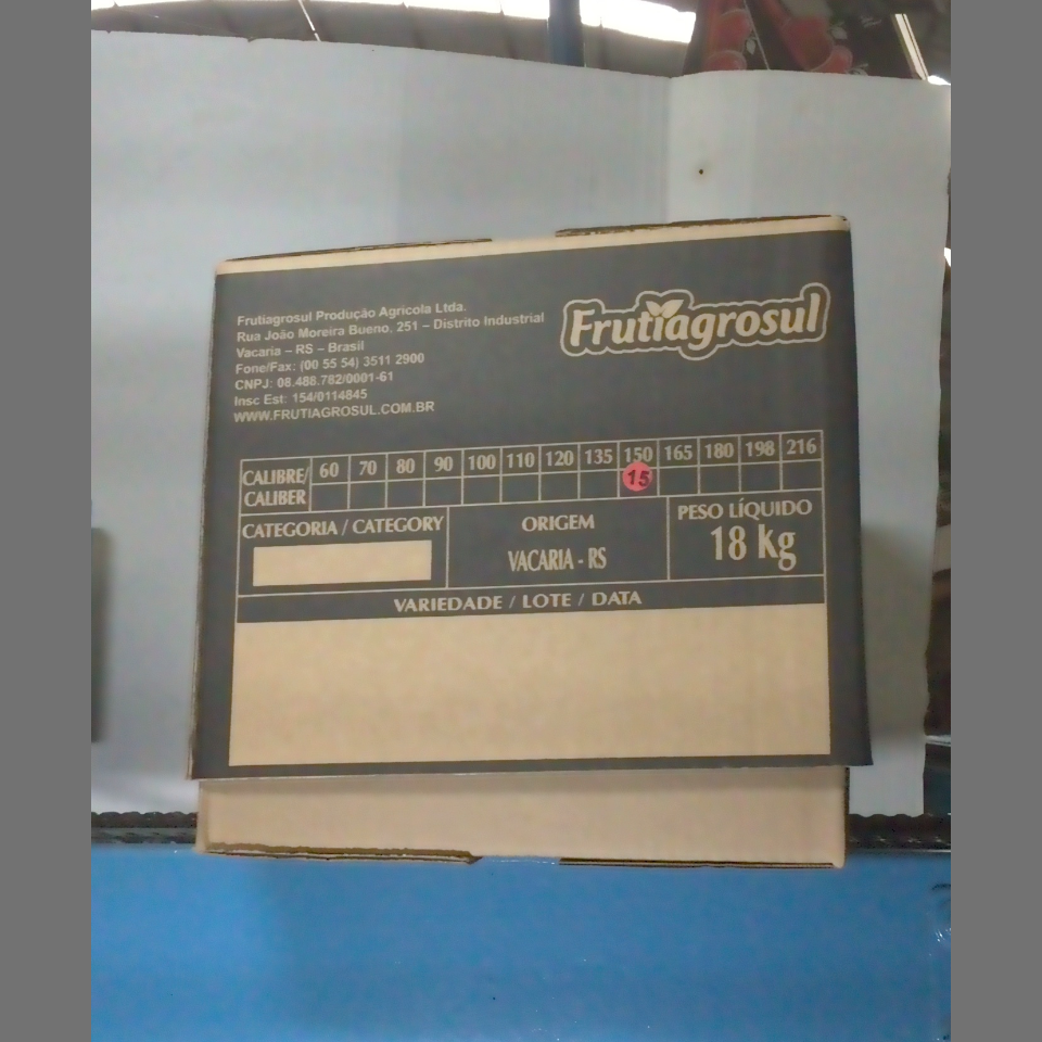Candidata do calibre · central · 960 utilizado na inferência