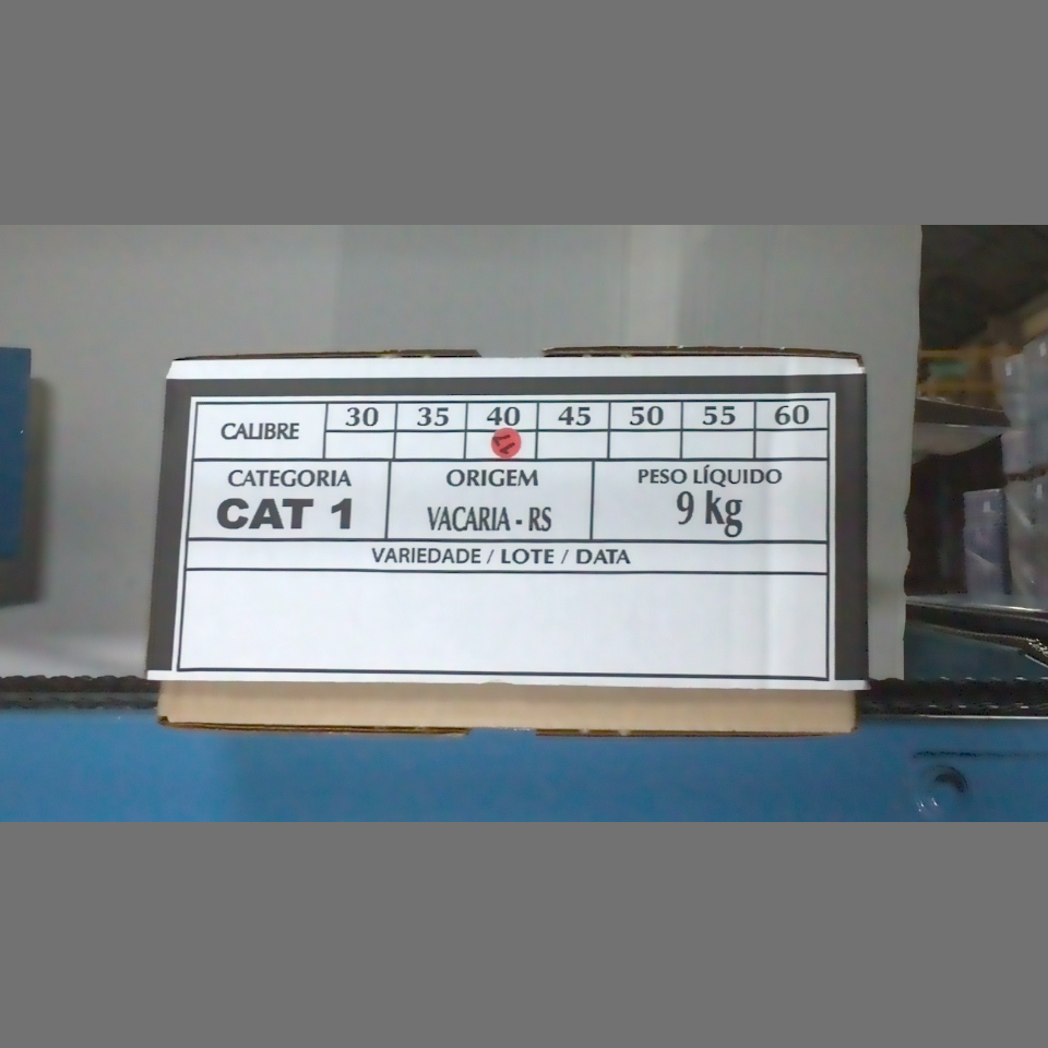 Candidata do calibre · central · 960 utilizado na inferência