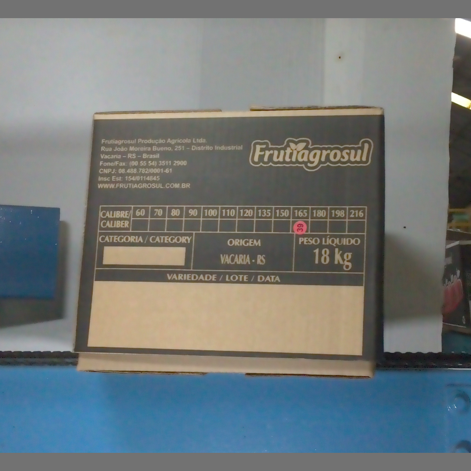 Candidata do calibre · central · 960 utilizado na inferência