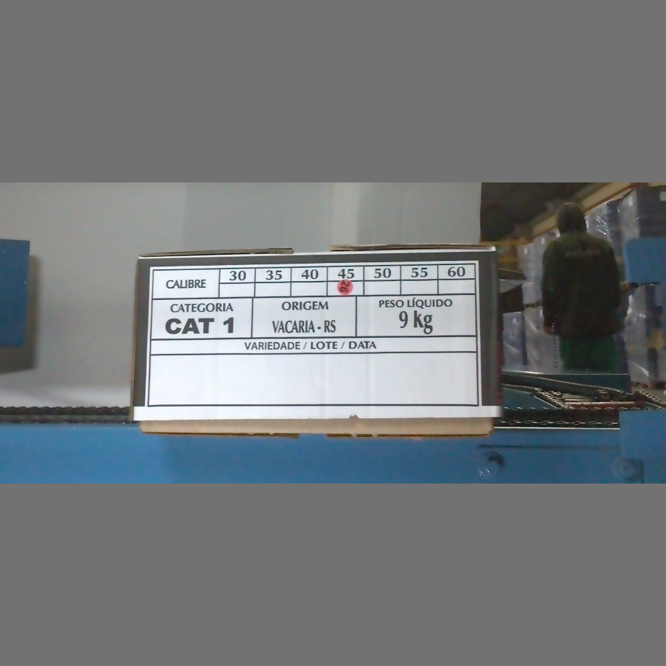 Candidata do calibre · central · 960 utilizado na inferência