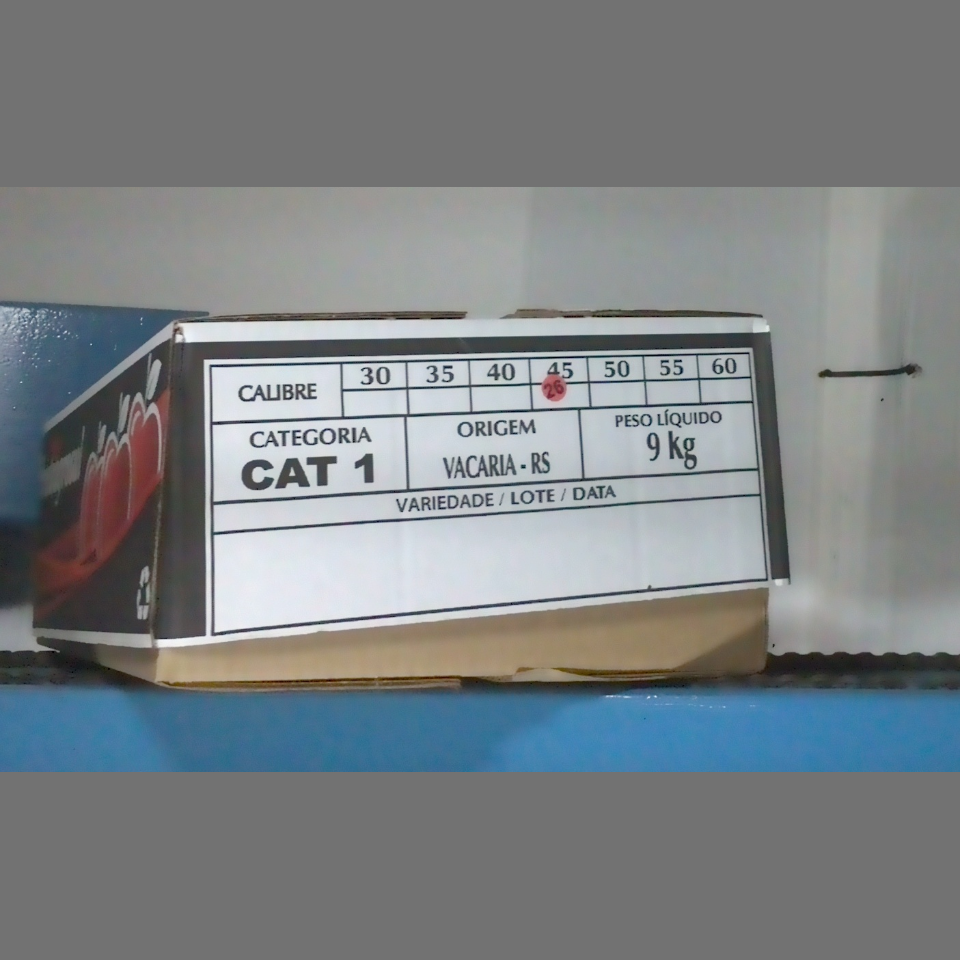 Candidata do calibre · central · 960 utilizado na inferência