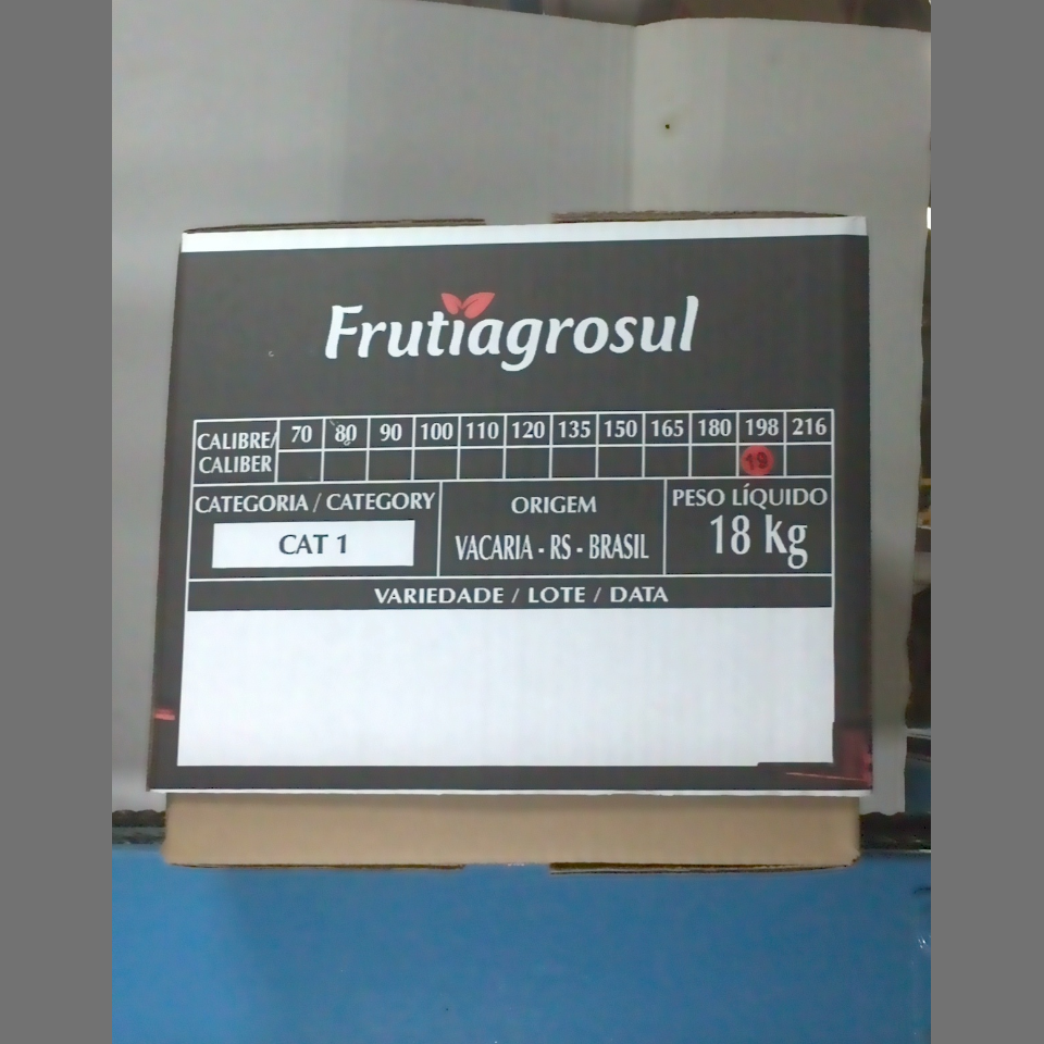 Candidata do calibre · central · 960 utilizado na inferência