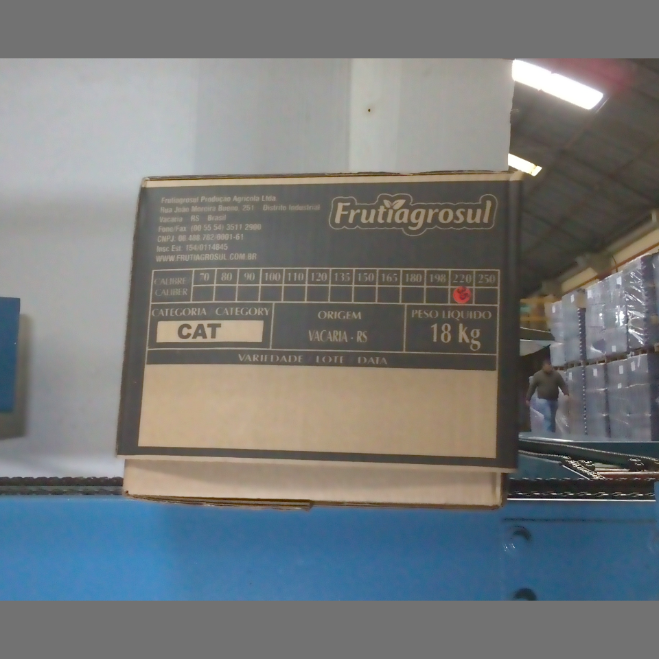 Candidata do calibre · central · 960 utilizado na inferência