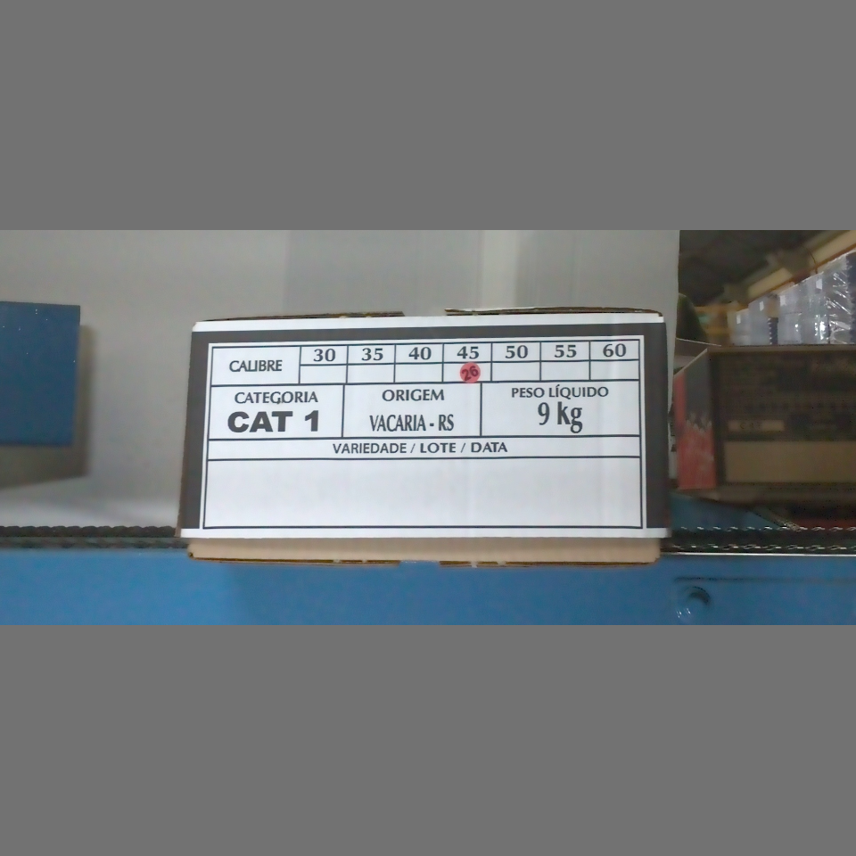 Candidata do calibre · central · 960 utilizado na inferência