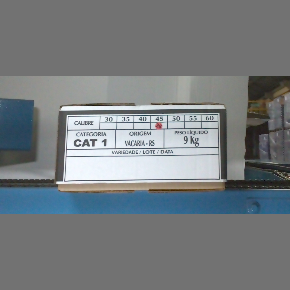 Candidata do calibre · central · 960 utilizado na inferência