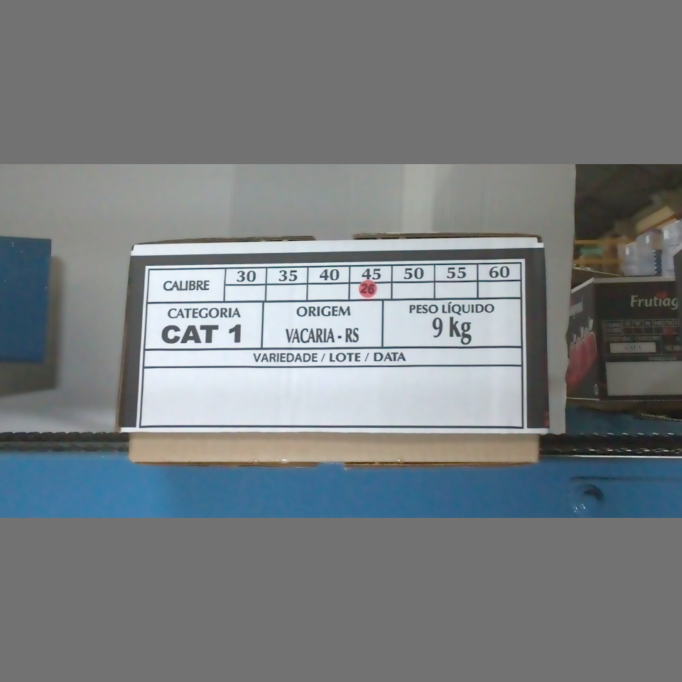 Candidata do calibre · central · 960 utilizado na inferência