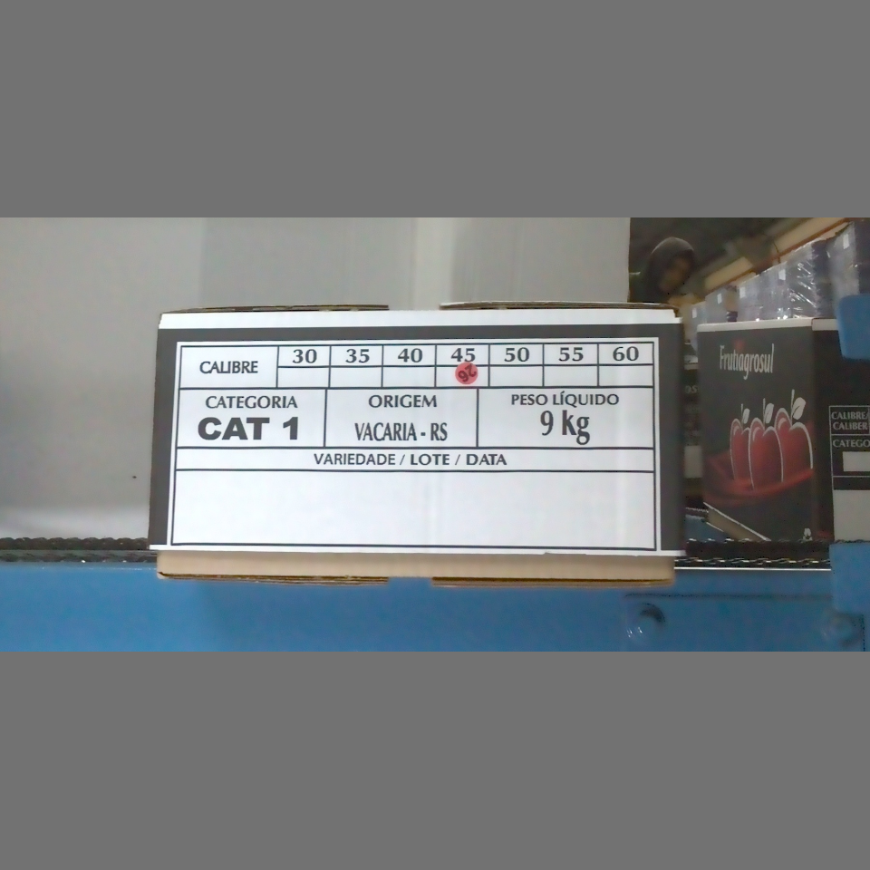 Candidata do calibre · central · 960 utilizado na inferência